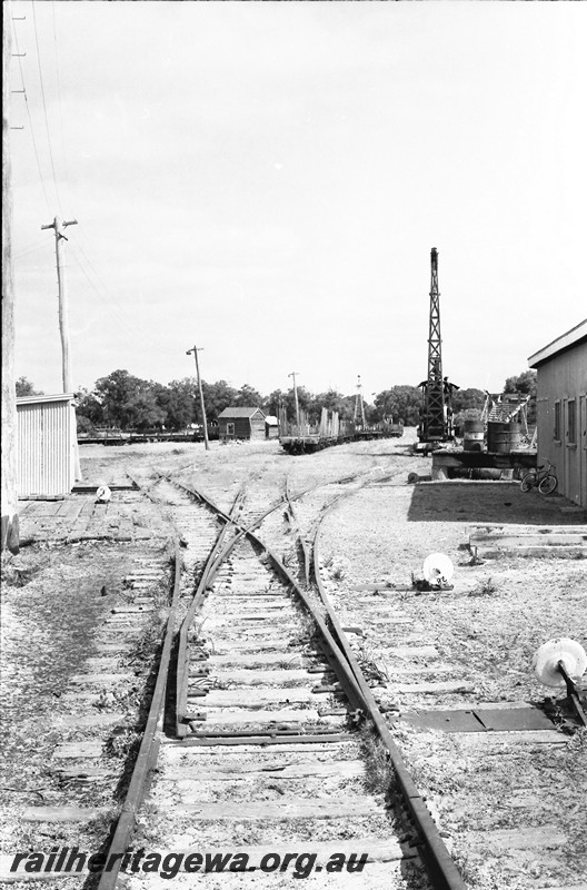 P13926
3 of 32 images of the railway and jetty precincts of Busselton, BB line, three way point leading into sidings, steam crane on one of the lines.
