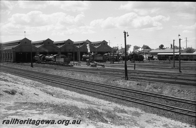 P13982
13 of 17 images of locos, trains and buildings at the East Perth Loco Depot, locos on the apron in front of the loco shed
