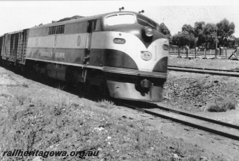 P14241
Commonwealth Railways (CR) GM class 2, passing the Kalgoorlie District Hospital, side and front view.
