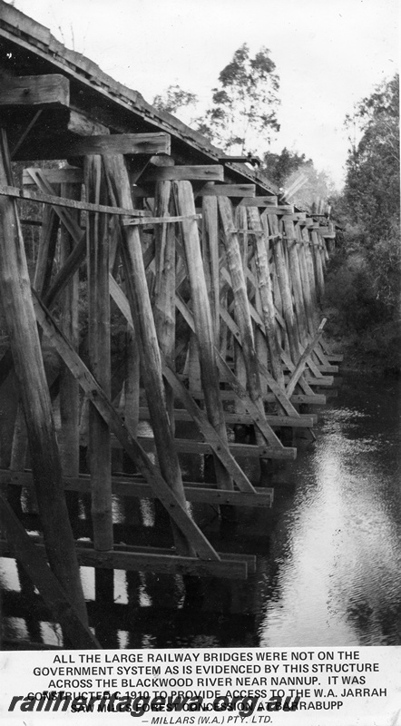 P14867
WA Jarrah Saw Mills trestle bridge over the Blackwood River, built c1910 to provide access to their Barrabupp concession.
