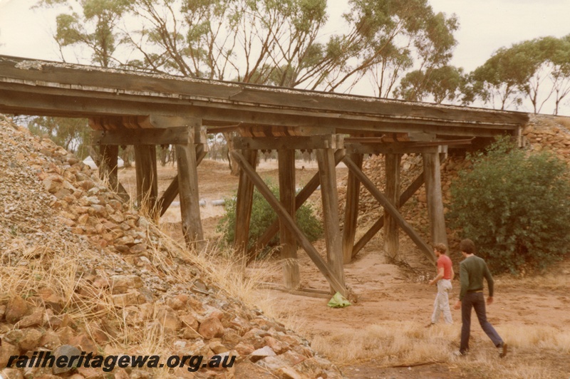 P15451
Four span trestle bridge, ten kilometres south of York near the intersection of the Great Southern Highway and Ovens Road, GSR line, view of the west side of the bridge

