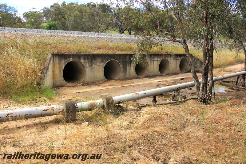 P15485
Five pipe culvert, ten kilometres south of York near the intersection of the Great Southern Highway and Ovens road, GSR line, east side, taken from the same position as P15450
