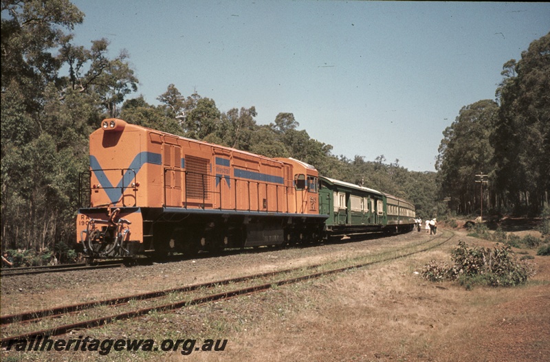 P16663
RA class 1908, in Westrail orange with blue stripe, on excursion train comprising green and cream carriages, passengers, bush setting, front and side view
