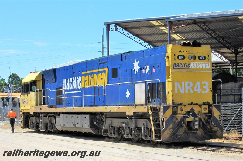 P16894
Pacific National loco, NR class 43, parked on the inner loop line, at the site of the Rail Transport Museum Bassendean side and end view
