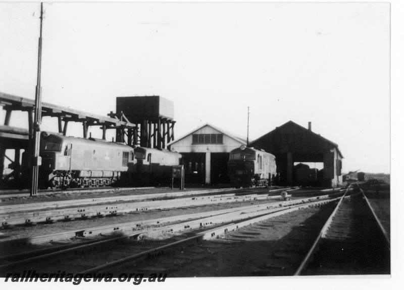 P16987
Loco depot, several X class diesels, coal ramp, water tower, sheds, Kalgoorlie, EGR line, c1955
