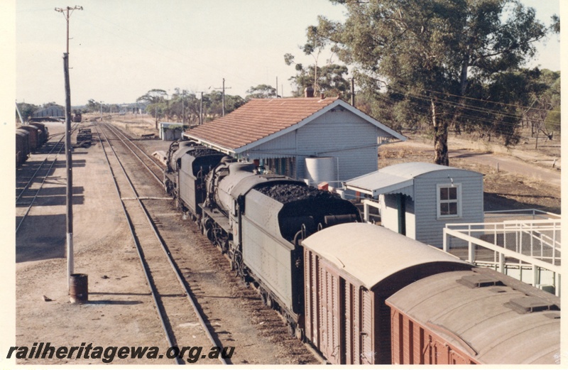 P17233
V class 1221 and V class 1210, double heading goods train No 16, station buildings, Pingelly, GSR line
