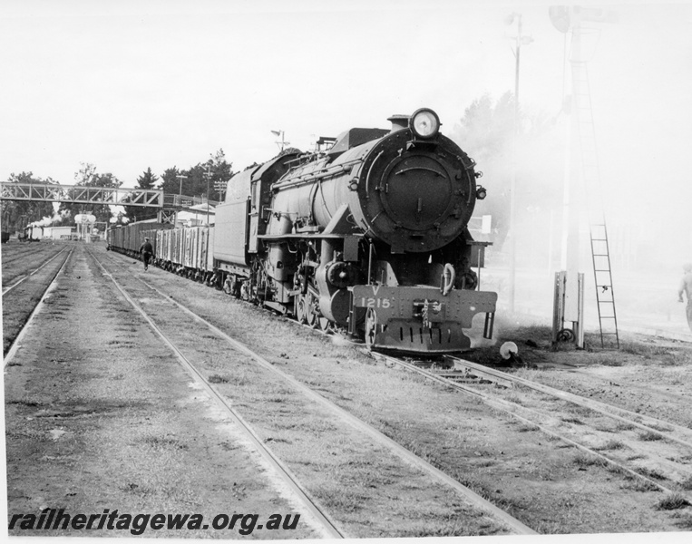 P17342
V class 1215 steam locomotive, on goods train, side and front view, footbridge, loco at semaphore signal, cheese knob, Collie, BN line.
