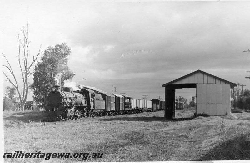 P17461
W class 941 steam locomotive hauling 343 goods train to Bridgetown passing through Dardanup on the PP line. Note the unused goods shed, trackage having been removed.
