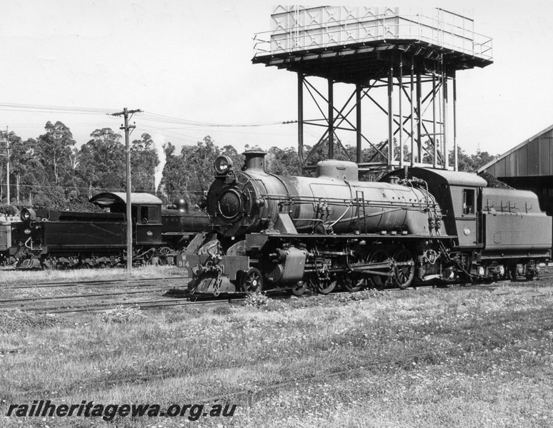 P17469
W class 914 and F class 449 steam locomotives at Collie Loco. BN line. Note water tower in between both locos and part of loco shed in background. 
