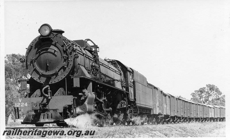 P17543
V class 1224, on No 11 goods train, Popanyinning, GSR line, front and side view
