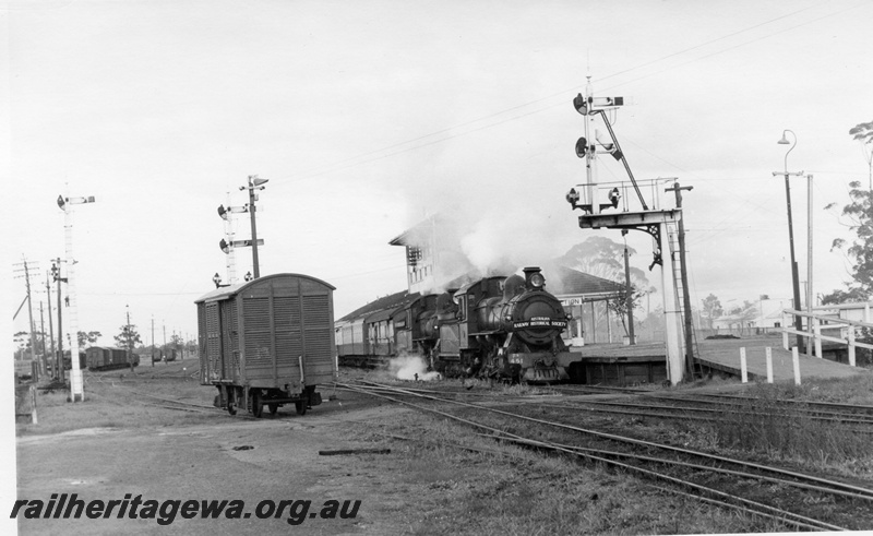 P17587
2 of 4, FS class 451 steam locomotive double heading with FS class 420 steam locomotive on Reso train, side and front view, leaving Brunswick Junction for Collie, signals, station buildings, platform, yard lamp, FD class louvered van, BN line.
