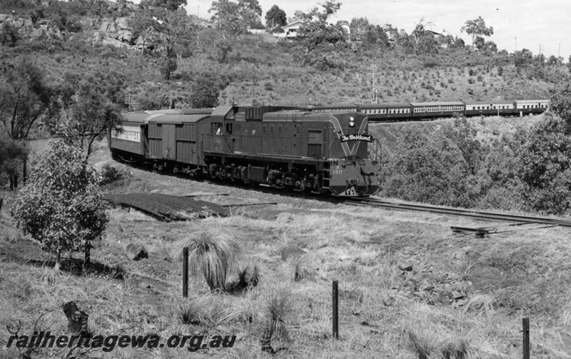 P17593
A class 1511 diesel locomotive hauling The Westland Express through the Darling Ranges near the Swan View Tunnel. ER line. Train left late owing to floods at Merredin.
