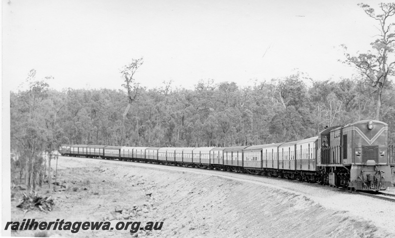 P17826
R class 1905 diesel locomotive operating a special excursion on the Mundijong - Jarrahdale line. Note the front view of the locomotive and the side view of the train.
