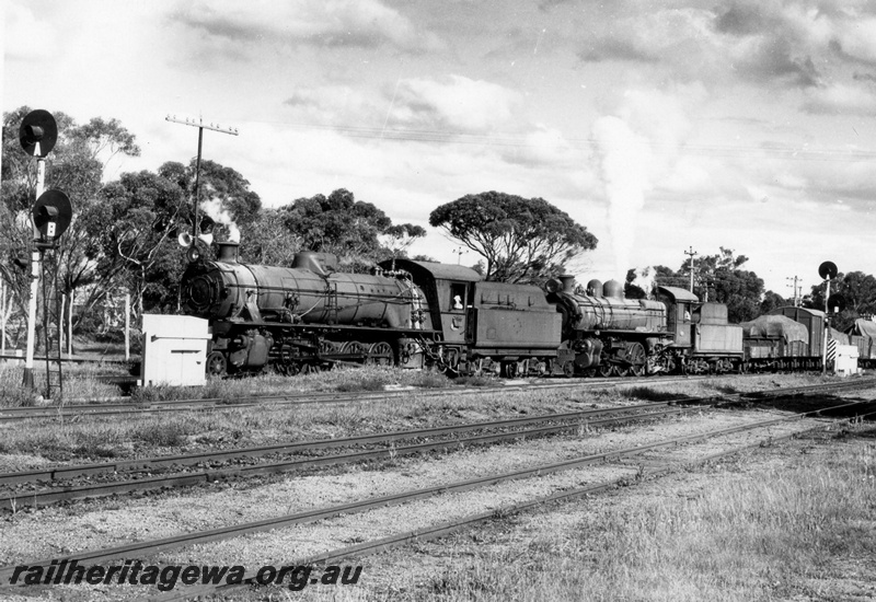 P17827
W class 947 and PR class 538 steam locomotives arriving at Narrogin, from Wickepin. Note the automatic signalling adjacent to the locomotives and trackage in the foreground. GSR line.
