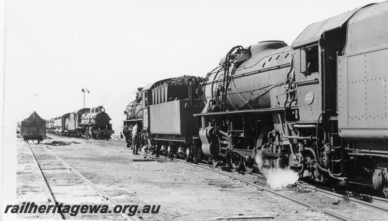 P17851
PM class 714 and V class 1223 steam locomotives at an unidentified location crossing a goods train hauled by an unidentified PR class . Note the semaphore signal set to allow the PR steam locomotive to proceed. The driver of the PM class is attending his locomotives rear driving wheel. Side view of V class evident.
