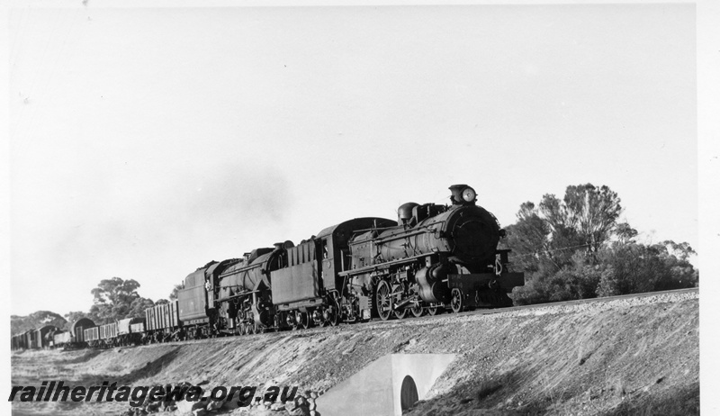 P17853
PM class 714 and V class 1223 steam locomotives at an unidentified location between Narrogin and York with 12 goods. GSR line. Side/Front view of PM class evident and partial side view of V class. Train is about to go over a concrete pipe culvert.
