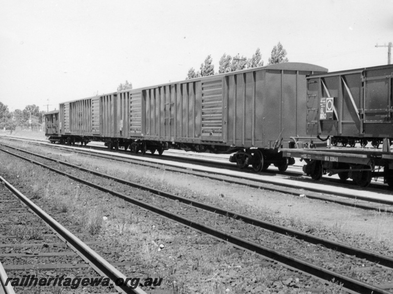 P17862
VEX class standard gauge covered vans and GL class standard gauge open wagon at Bassendean. The covered vans are on narrow gauge transfer bogies while the open wagon is on narrow gauge flattops and are destined for Port Augusta having being built by Comeng at Bassendean. ER line. Note the brakevan at the end.
