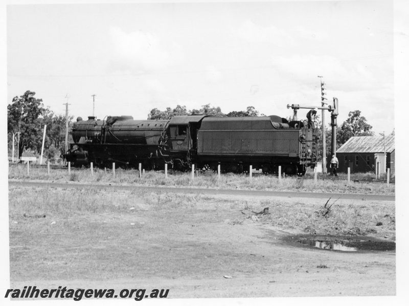 P18368
V class 1214, taking on water, water tower, Chidlow, ER line, side and rear view
