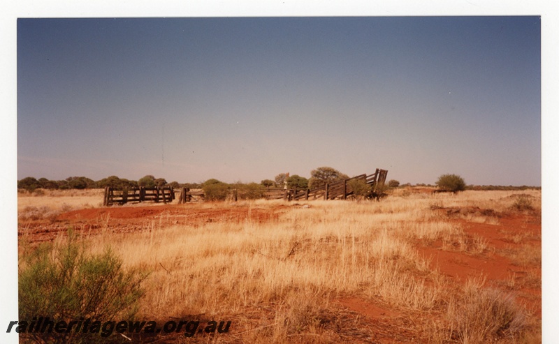 P19145
Remains of stock race near Yalgoo. NR line.
