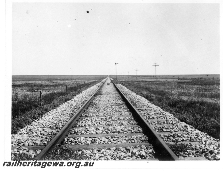 P19188
Commonwealth Railways (CR) signal, single track, Cook, TAR line
