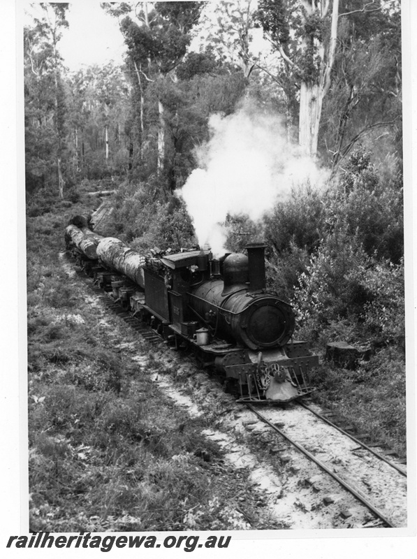 P19457
SSM No7, ex WAGR G class 53 (James Martin 117/1895), on logging train, Pemberton, side and front view
