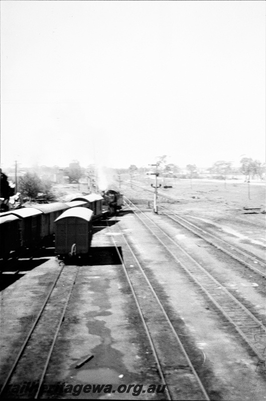 P19528
Steam loco, on goods train, van, sidings, bracket signals, Merredin, EGR line, elevated view
