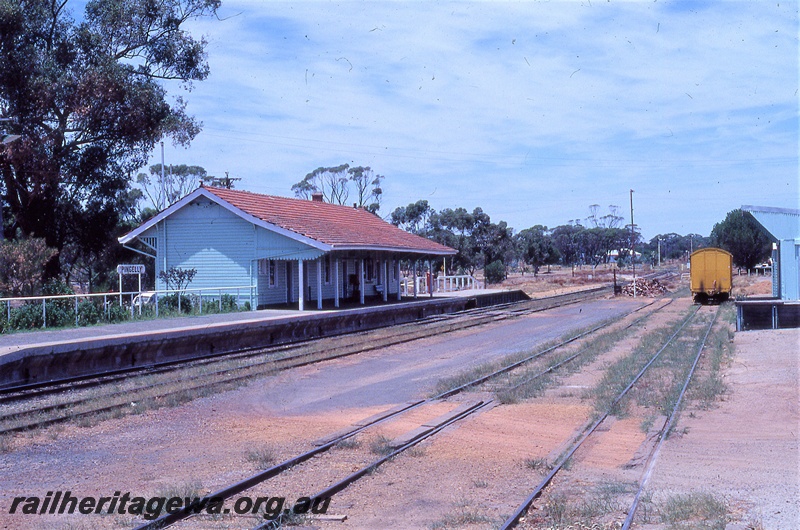 P19829
Station building, platform, station nameboard, tracks, van on siding, goods shed, Pingelly, GSR line
