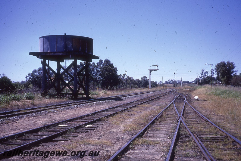 P19834
Water tower, tracks, bracket signal, signals, points, point lever, Waroona, SWR line
