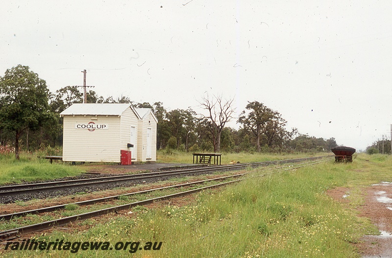 P19962
Station sheds, with station nameboard, tracks, raised platform, Coolup, SWR line
