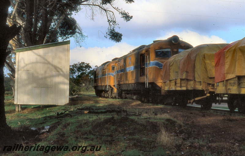 P19988
Two X class diesels in Westrail orange livery with blue and white stripe, double heading goods train, out of shed, Dinninup, DK line, side and rear view
