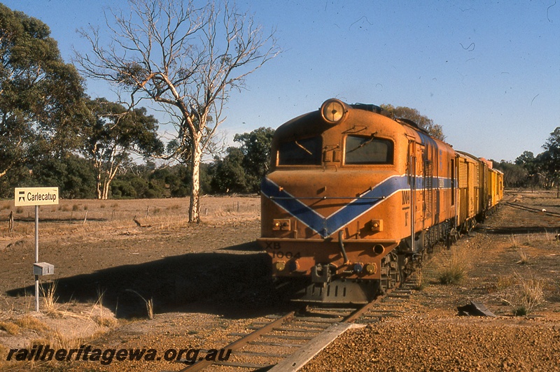 P19990
XB class 1004, on goods train, station nameboard, Carlecalup, DK line, front and side view
