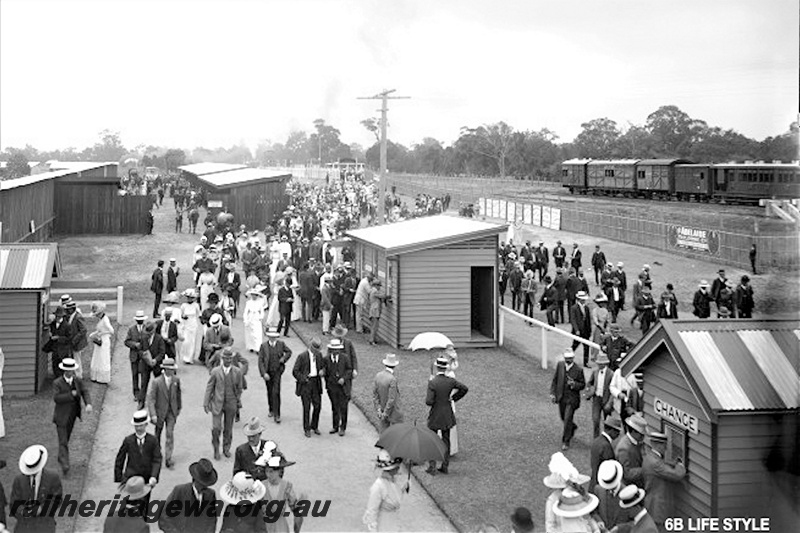 P21197
BB class , BA class, BB class, A class horse boxes, AD class class carriage, Belmont , large crowd at the Ascot Racecourse for the Perth Cup
