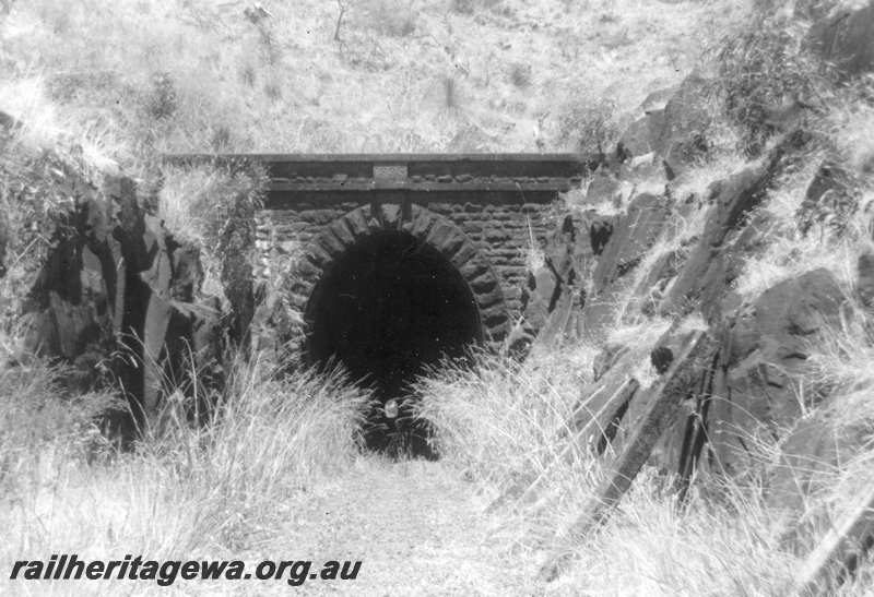 P21711
Tunnel portal, no longer in use, Swan View, ER line, view from track formation 
