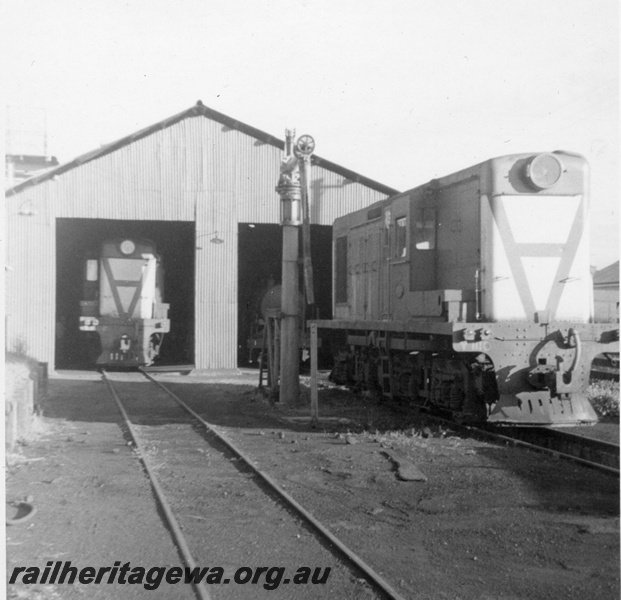 P21858
Y class 1110, Y class 1102, water column, loco shed, Pinjarra, SWR line, front and side and front views
