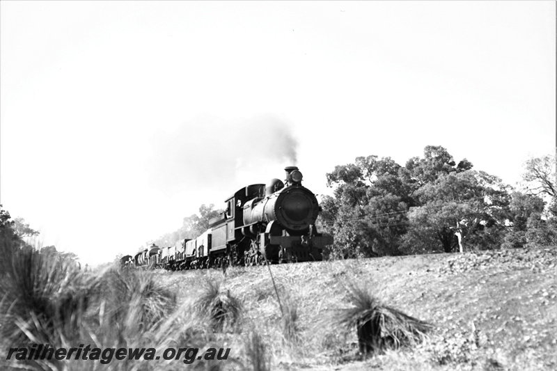 P21917
F class loco, on goods train, bush setting, side and front view
