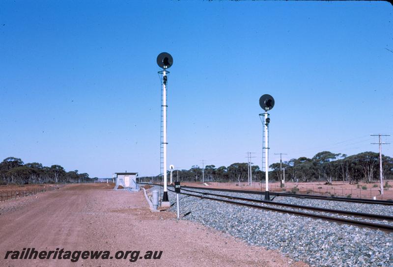 T00112
Colour light signals next to newly laid track
