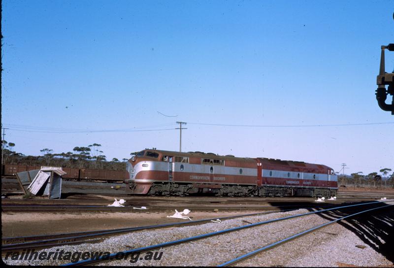 T00116
Commonwealth Railways (CR) GM class 9 and a Commonwealth Railways (CR) CL class in yard, Kalgoorlie
