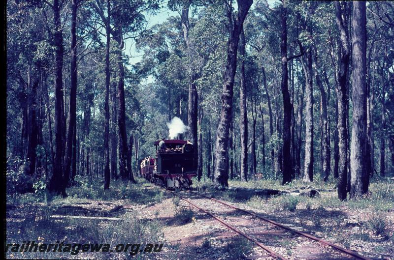 T01176
YX class 86, Yornup, rear view, hauling train of open wagon with passengers on tour 

