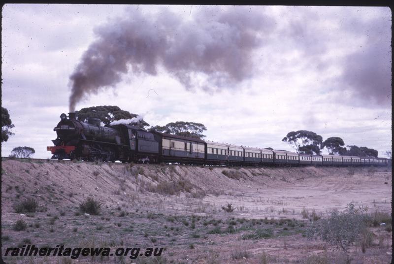 T01505
W class 904, ARHS tour train to Goomalling
