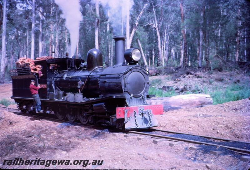 T03025
SSM loco, light engine in bush, Pemberton, side and front view
