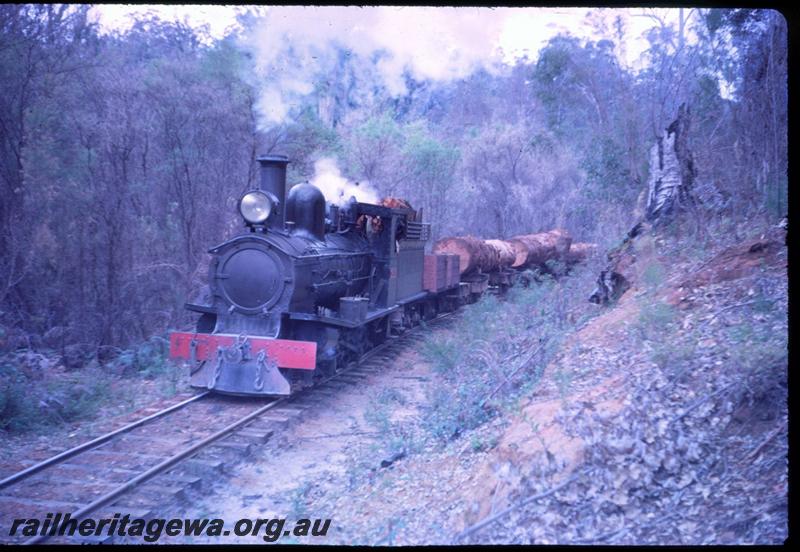 T03134
SSM loco, Pemberton bush railway, hauling log train
