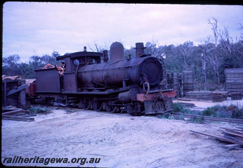 T03136
Kauri Timber Coy loco No.109, Northcliffe, side and front view
