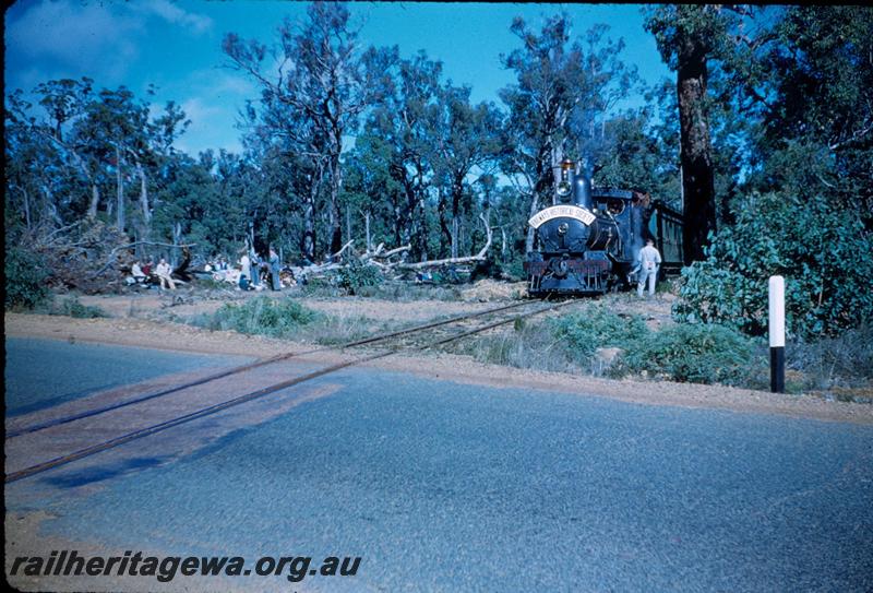 T03149
Millars loco No.61, Jarrahdale bush line, about to cross Albany Highway with ARHS tour train
