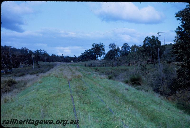 T03657
Track, Boya, M line, overgrown, looking east
