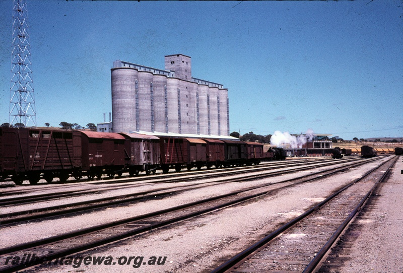 T04472
Avon Yard Marshalling Yard, pictured looking West. Part of light tower visible on left, CBH concrete silos in the left background as the Yardmaster's Building. The visible steam is from an unidentified steam locomotive. Narrow gauge rolling stock visible at left and standard gauge wheat wagons in far right background.
