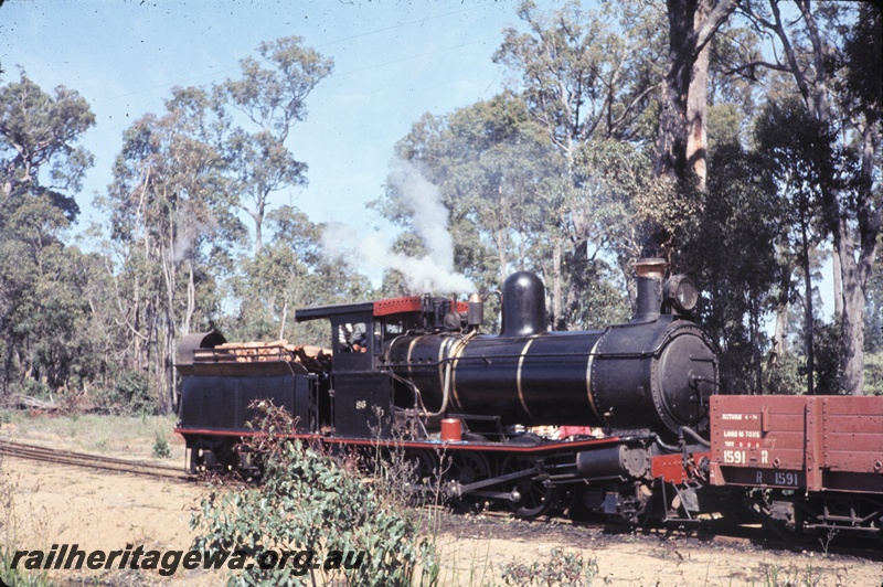 T04543
Donnely Mill loco YX class 86, coupled to R class 1591 open bogie wagon at Yornup siding, side and front view
