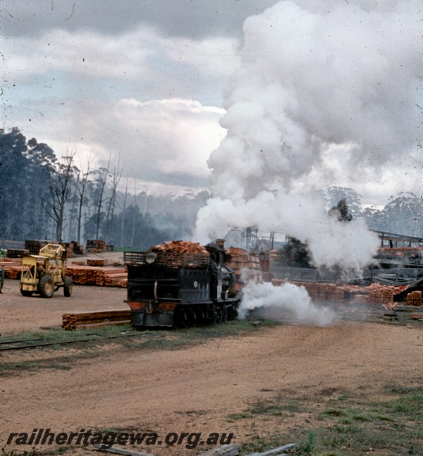 T04544
A G class type steam locomotive shunting at a South West sawmill.
