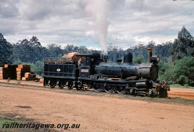 T04545
State Saw Mills loco SSM No. 2, timber piled high in the tender, side and front view See T4544.
