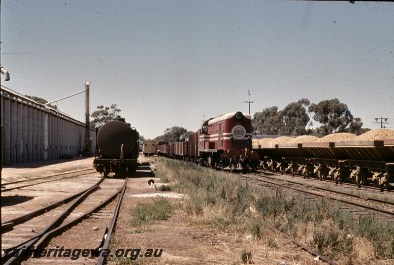 T04723
An unidentified F class diesel locomotive, with a goods train, passing a rake of loaded LA class ballast wagons at Moora.
