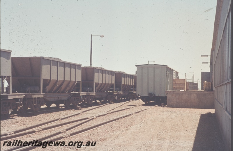T04836
Goldsworthy Mining (GML) ore wagons and BDV box car in Goldsworthy yard.
